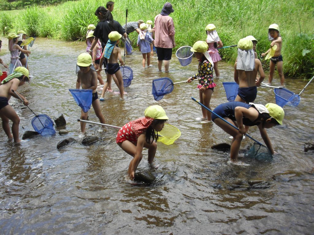 まふみ幼稚園のブログ