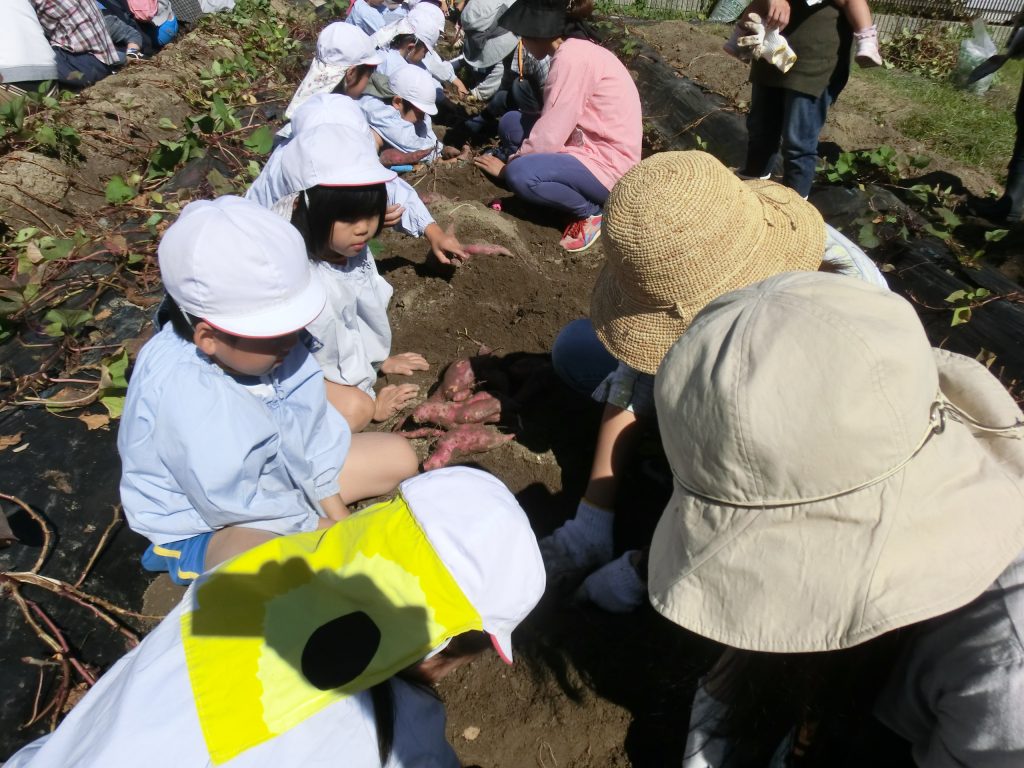 まふみ幼稚園のブログ