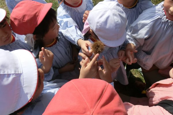 まふみ幼稚園のブログ