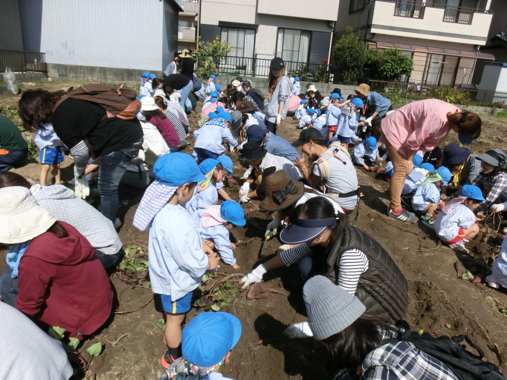 まふみ幼稚園のブログ