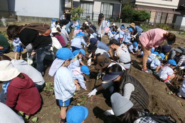 まふみ幼稚園のブログ