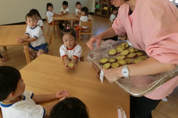 まふみ幼稚園のブログ