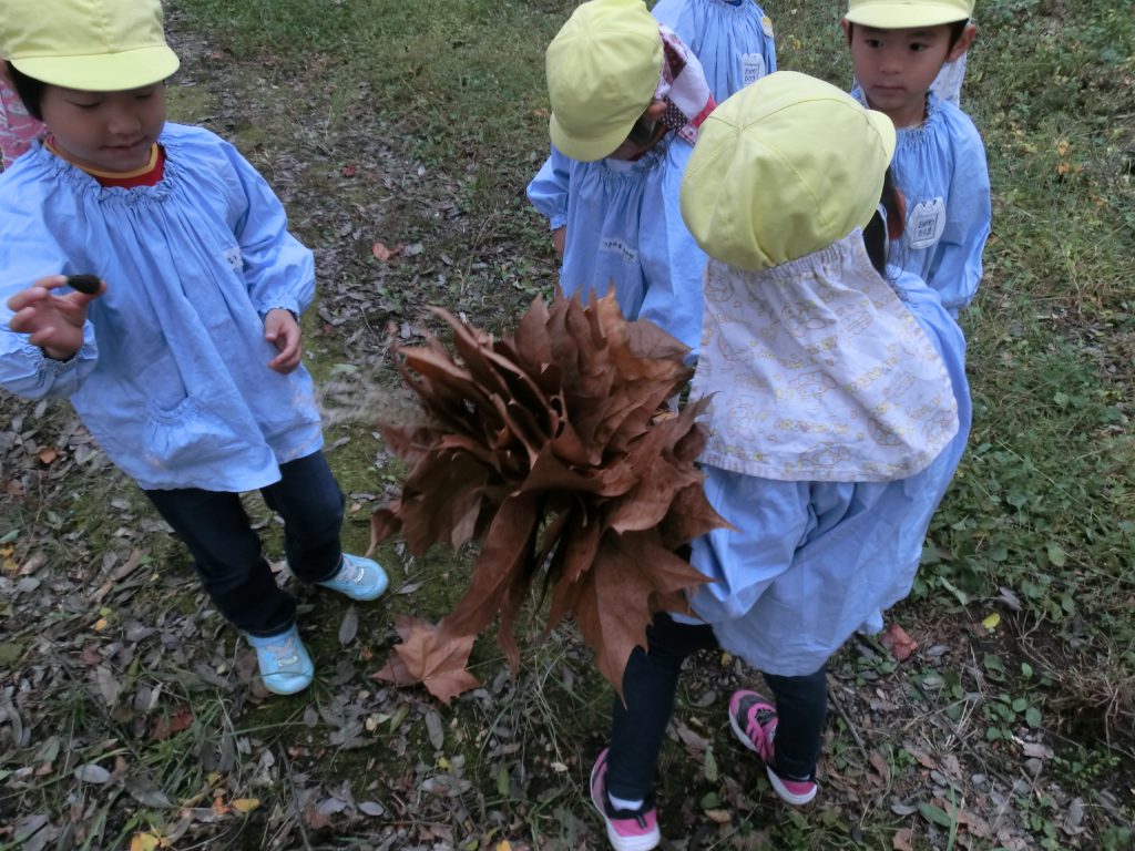 まふみ幼稚園のブログ