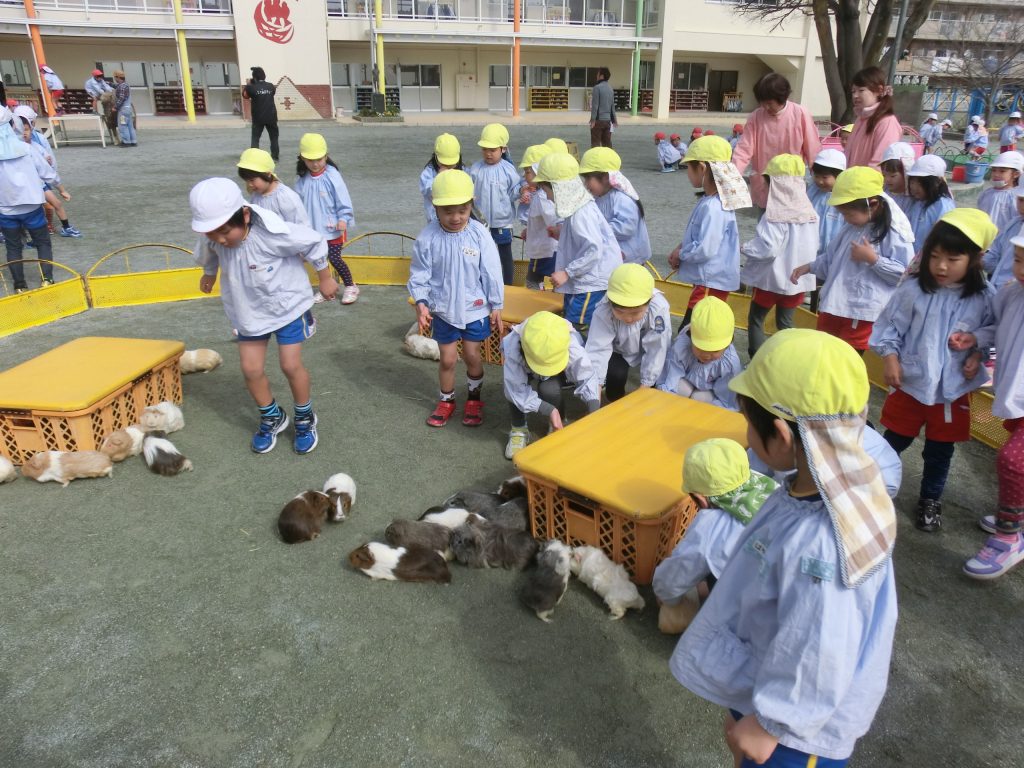 まふみ幼稚園のブログ