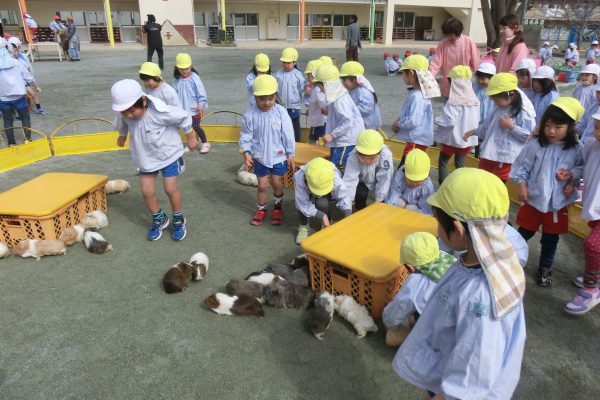 まふみ幼稚園のブログ