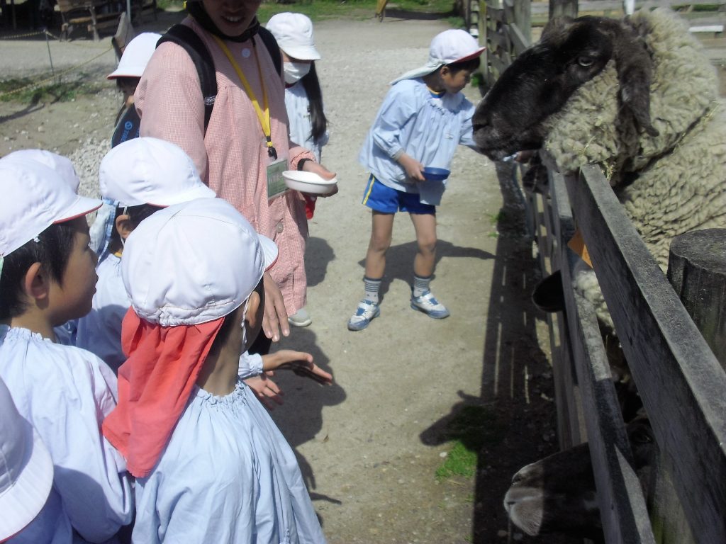 まふみ幼稚園のブログ