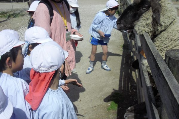 まふみ幼稚園のブログ