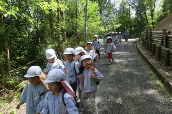 まふみ幼稚園のブログ