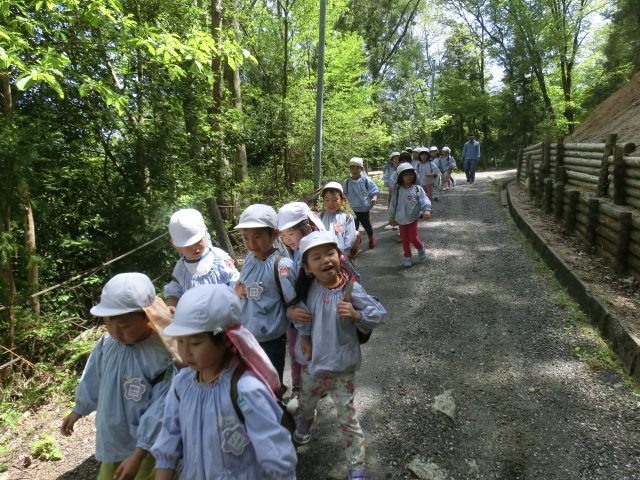 まふみ幼稚園のブログ