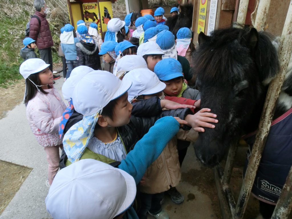 まふみ幼稚園のブログ