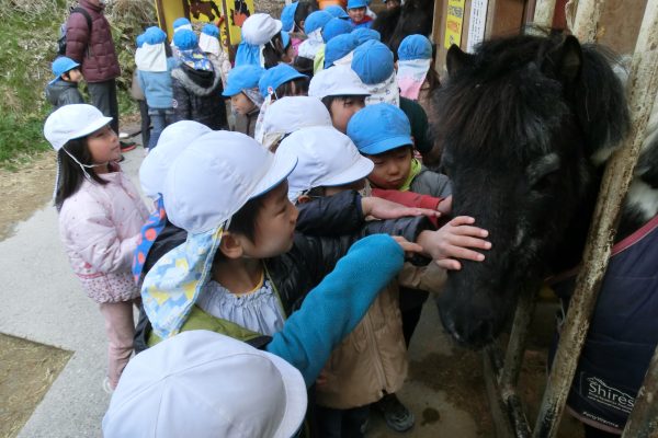 まふみ幼稚園のブログ