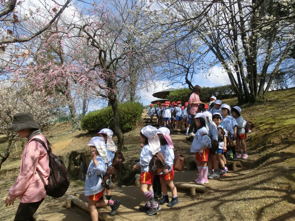 まふみ幼稚園のブログ