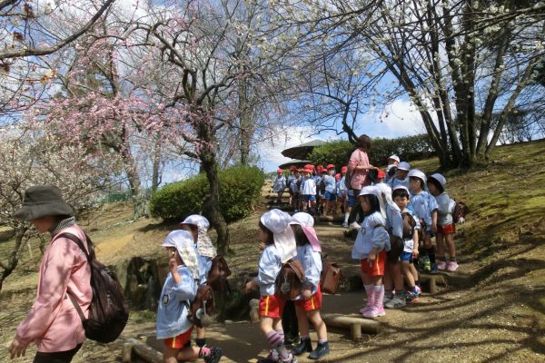 まふみ幼稚園のブログ