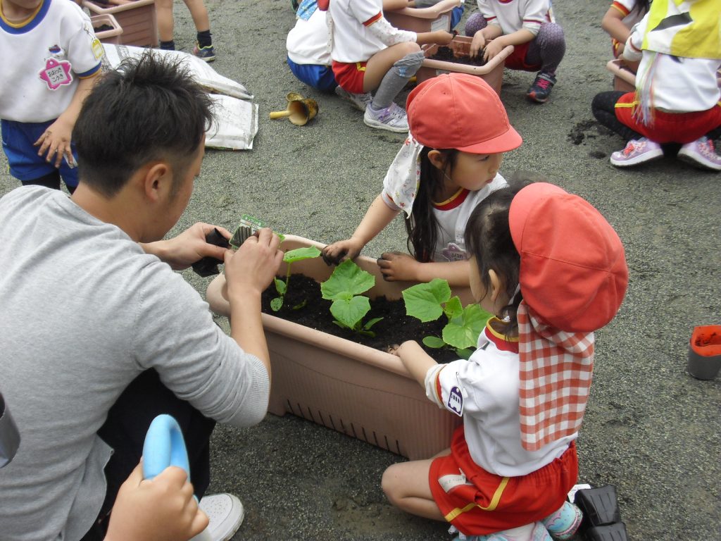 まふみ幼稚園のブログ