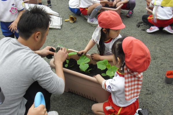 まふみ幼稚園のブログ