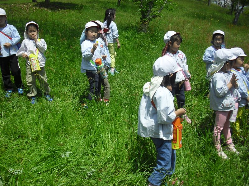 まふみ幼稚園のブログ