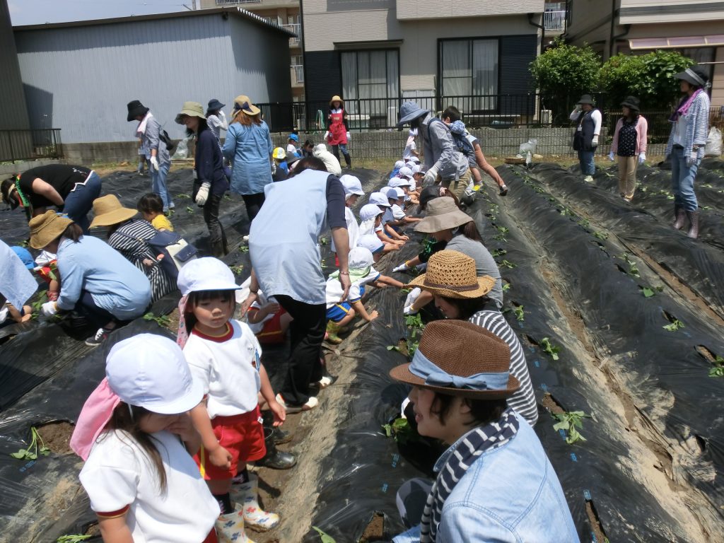 まふみ幼稚園のブログ