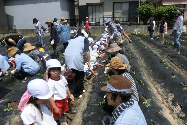 まふみ幼稚園のブログ