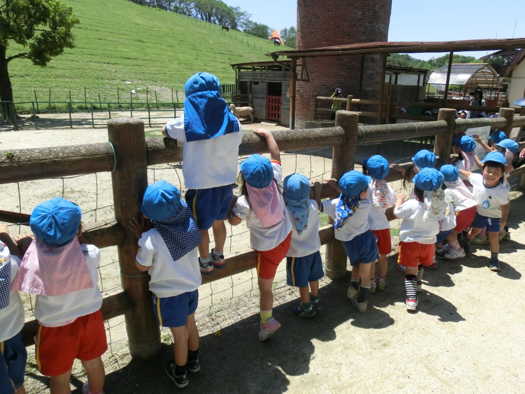 まふみ幼稚園のブログ