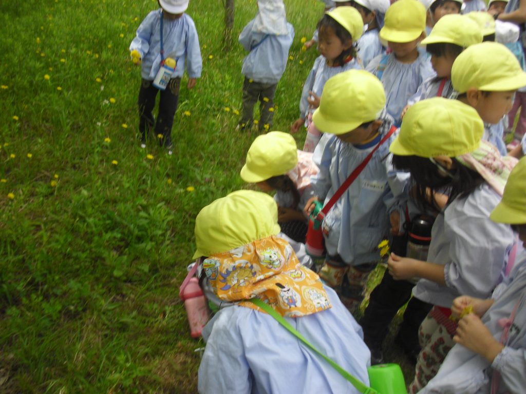 まふみ幼稚園のブログ