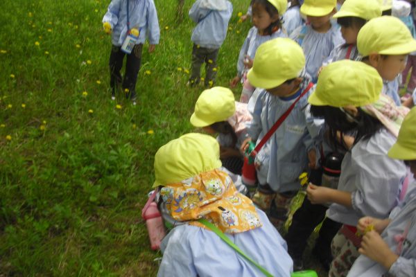 まふみ幼稚園のブログ