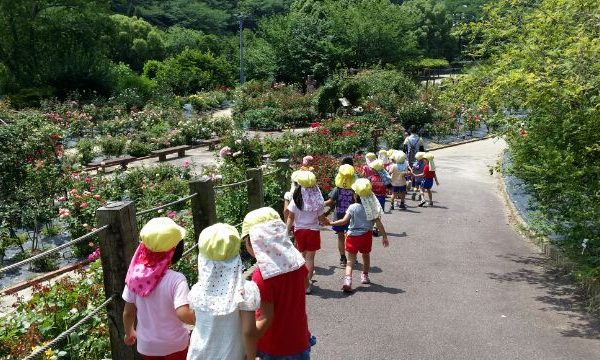 まふみ幼稚園のブログ