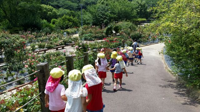 まふみ幼稚園のブログ