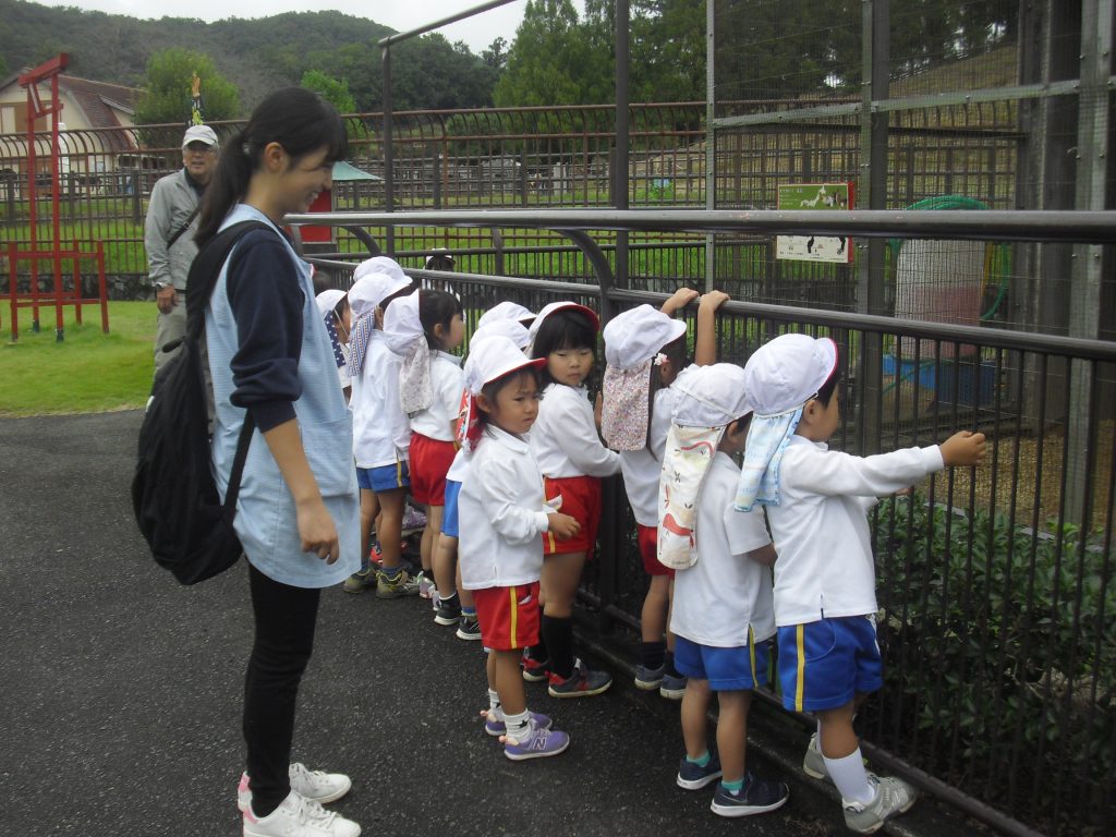 まふみ幼稚園のブログ