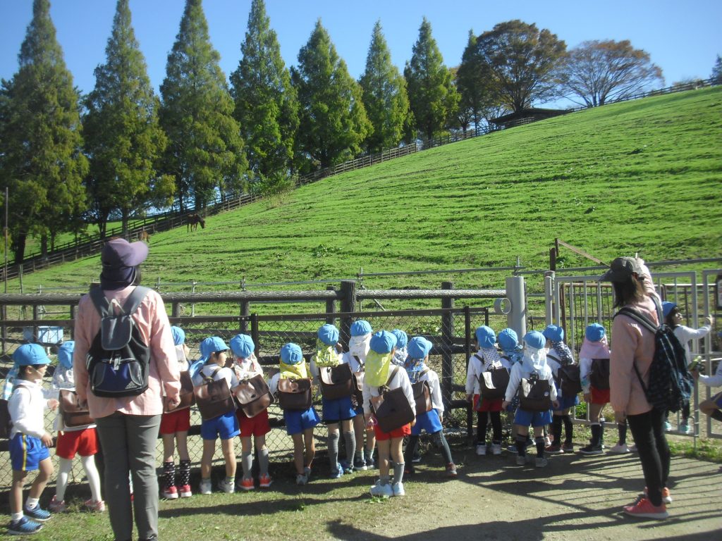 まふみ幼稚園のブログ