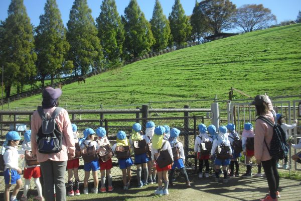 まふみ幼稚園のブログ