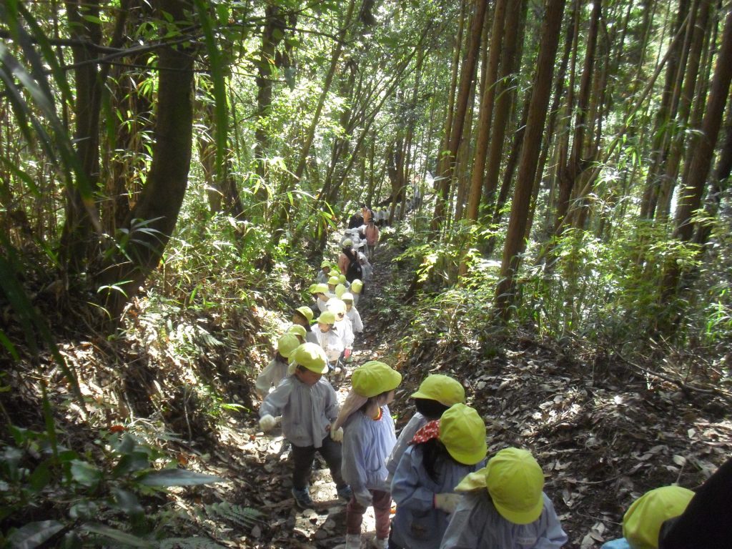 まふみ幼稚園のブログ