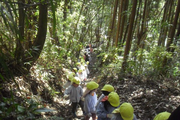 まふみ幼稚園のブログ