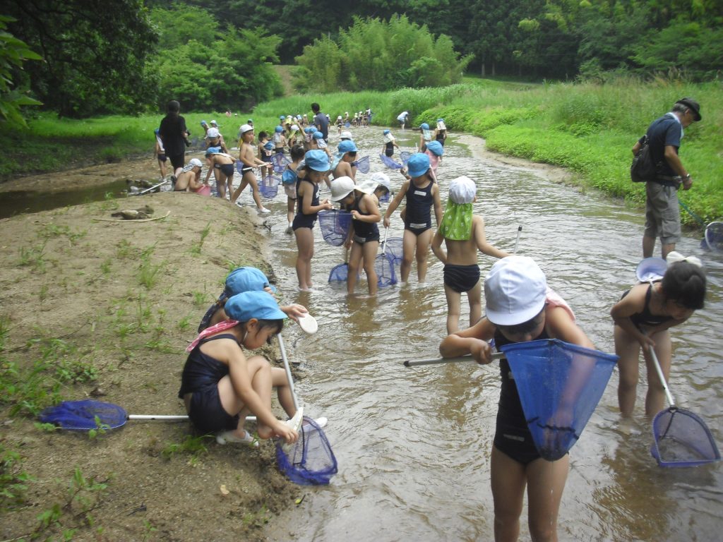 まふみ幼稚園のブログ