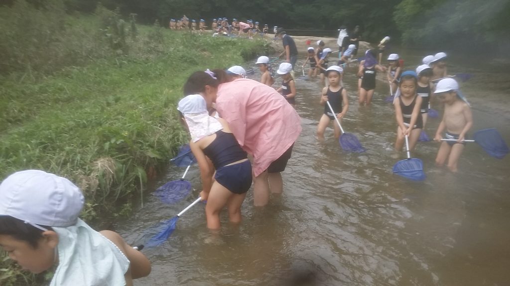 まふみ幼稚園のブログ