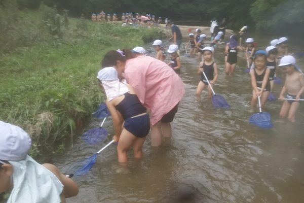 まふみ幼稚園のブログ