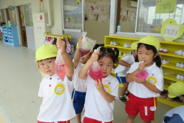 まふみ幼稚園のブログ