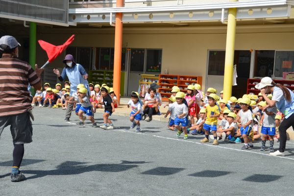 まふみ幼稚園のブログ