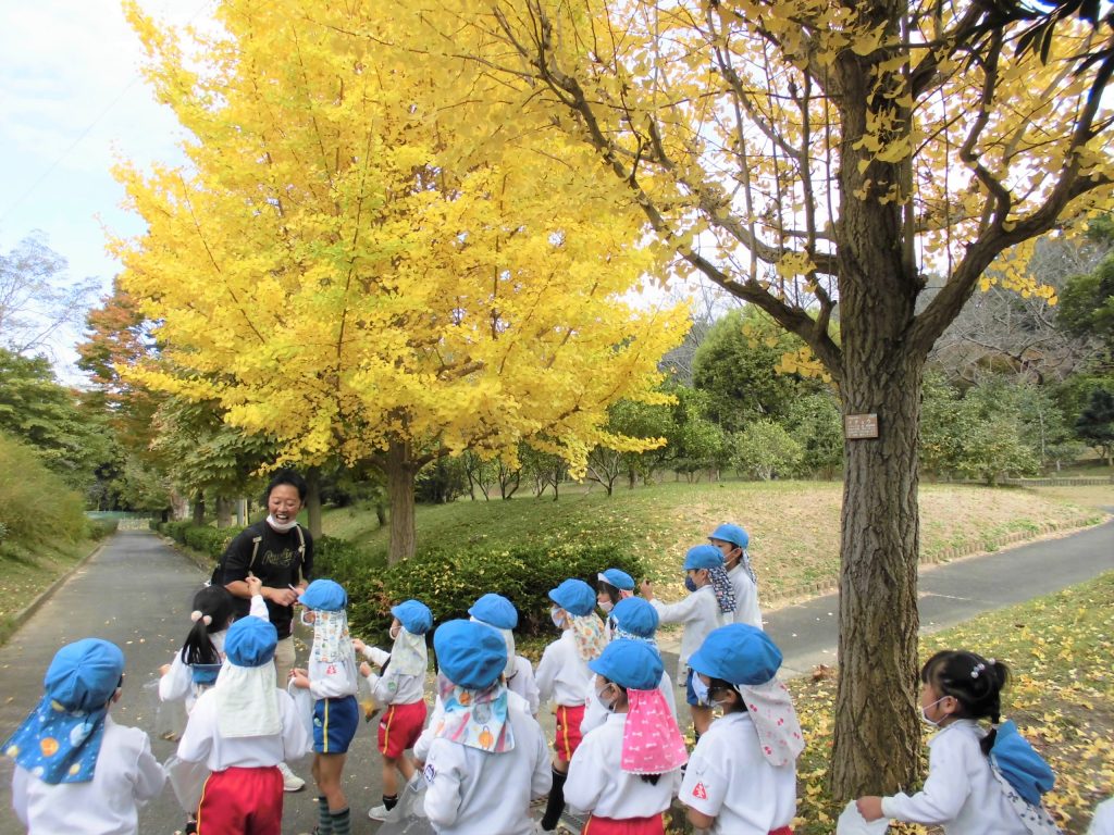 まふみ幼稚園のブログ