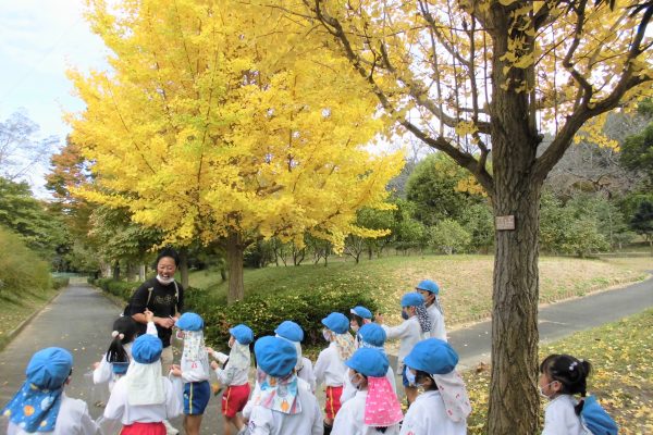 まふみ幼稚園のブログ