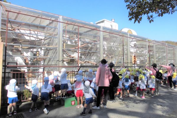 まふみ幼稚園のブログ