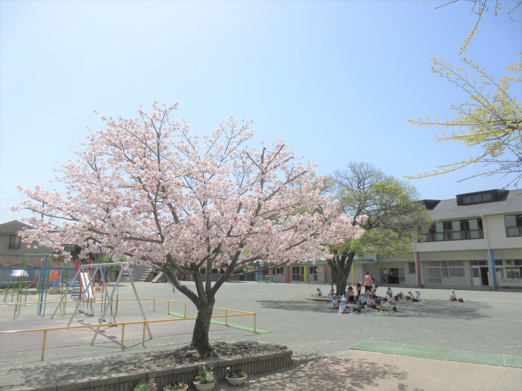 まふみ幼稚園のブログ