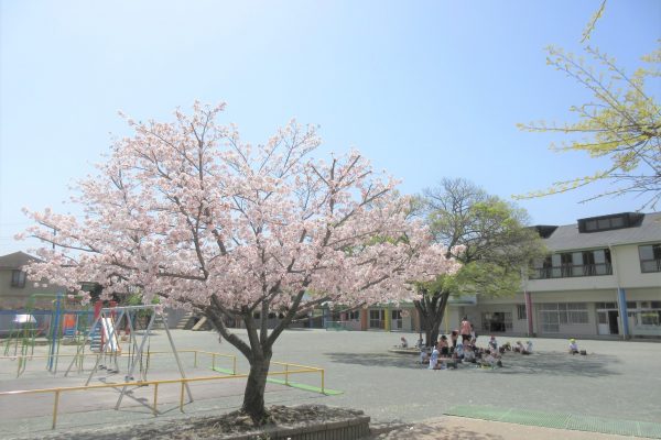 まふみ幼稚園のブログ