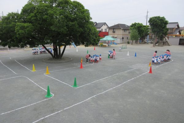 まふみ幼稚園のブログ