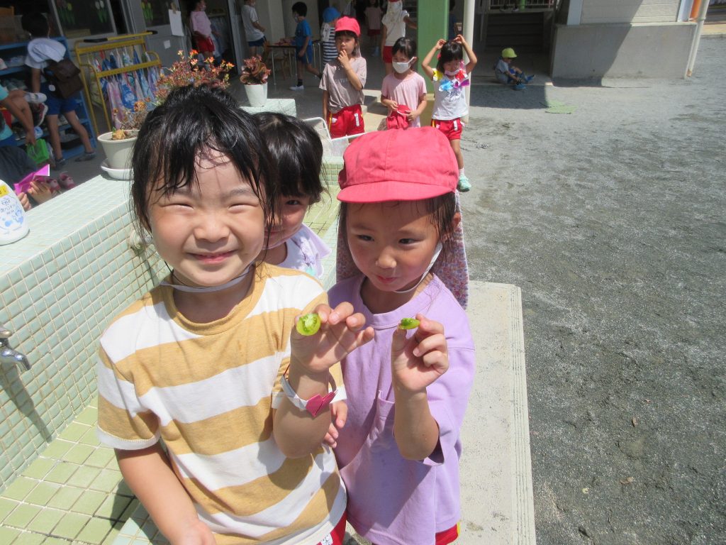 まふみ幼稚園のブログ