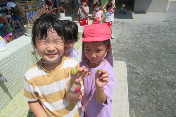 まふみ幼稚園のブログ