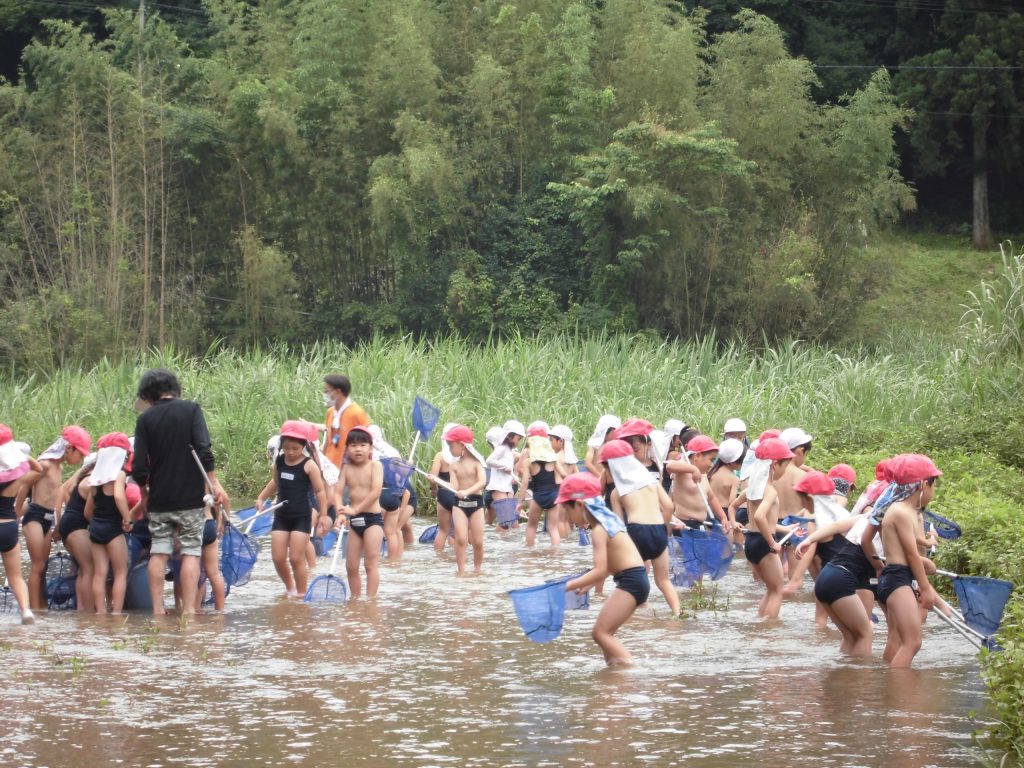 まふみ幼稚園のブログ