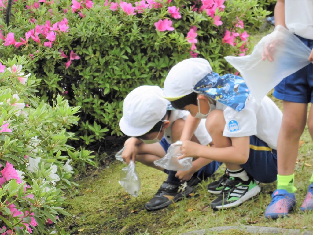 まふみ幼稚園のブログ