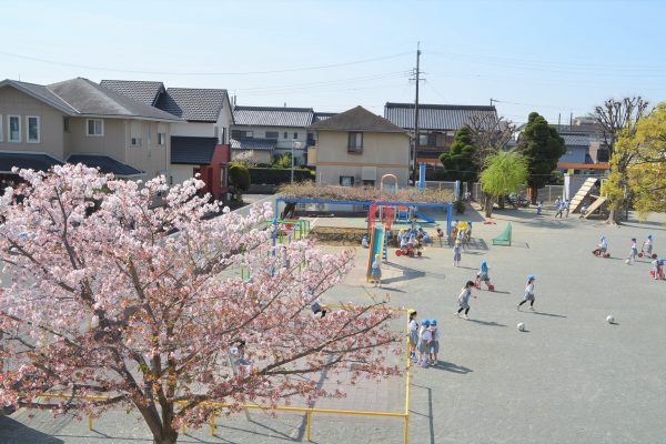 まふみ幼稚園のブログ