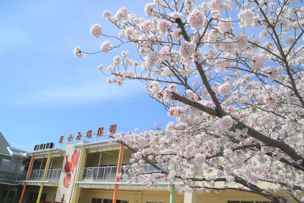 まふみ幼稚園のブログ