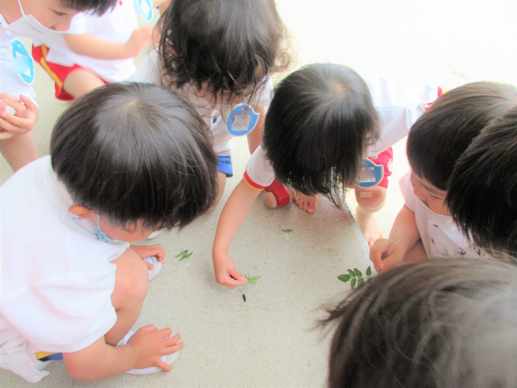 まふみ幼稚園のブログ